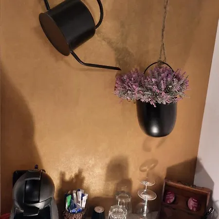 Luky 9 Apartment Brasov